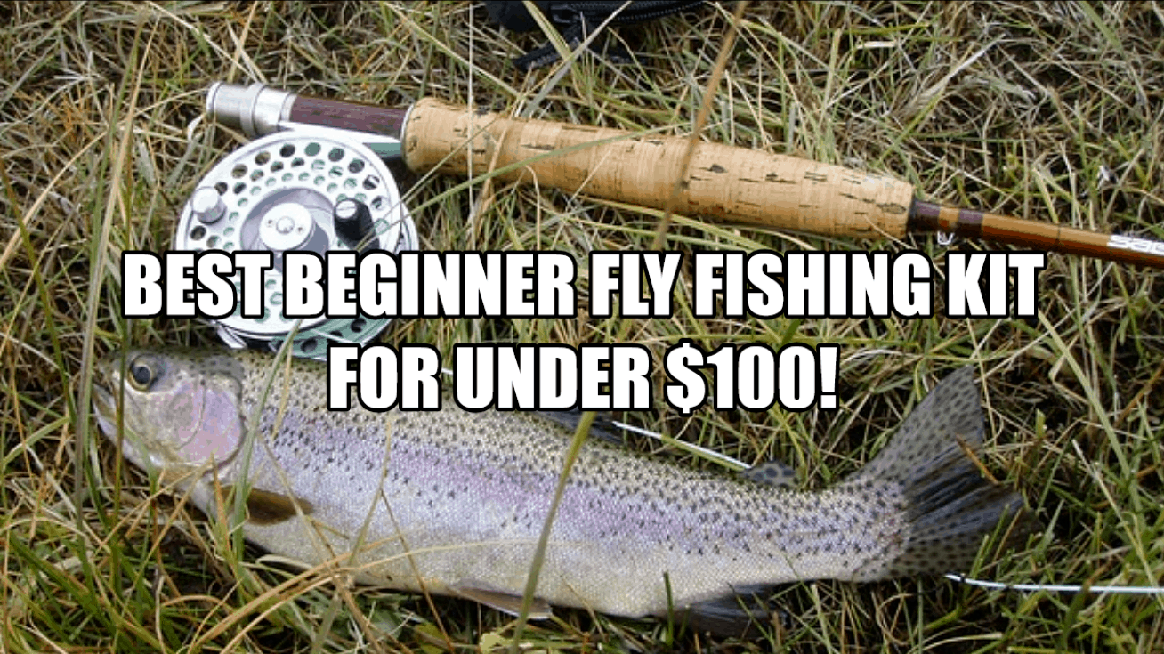 best beginner fly fishing kit for under 100