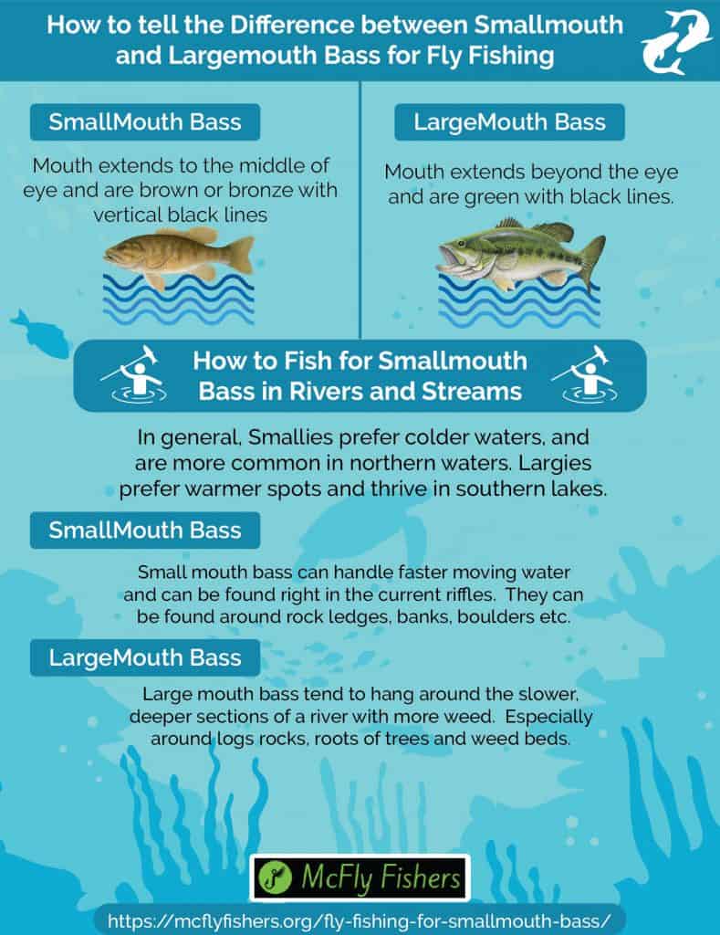 Fly Fishing for Smallmouth Bass in Lakes and Rivers » McFly Fishers