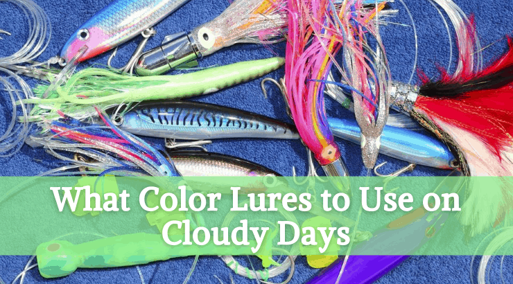 What Color Lures to Use on Cloudy Days